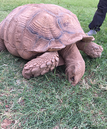 行って参りました、学校へ。