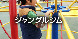 ジャングルジム